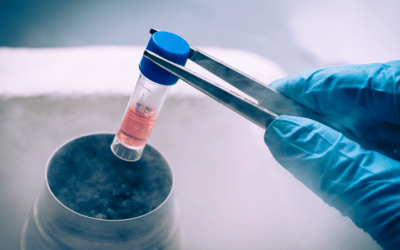 How Does Stem Cell Therapy Work and What Are the Risks