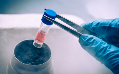 Stem Cell Therapy: What It Is and How It Can Help You